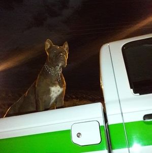 Meet your Posher, Diego